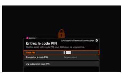 code pin code parental